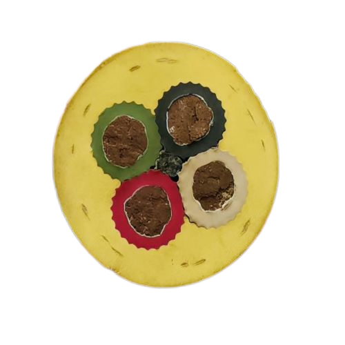 欧亚国际(中国集团)·官方网站