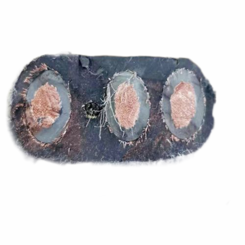 欧亚国际(中国集团)·官方网站