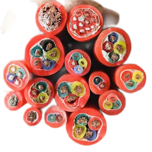 欧亚国际(中国集团)·官方网站