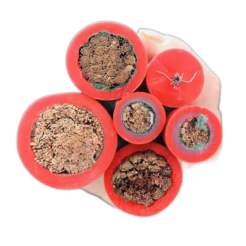 欧亚国际(中国集团)·官方网站