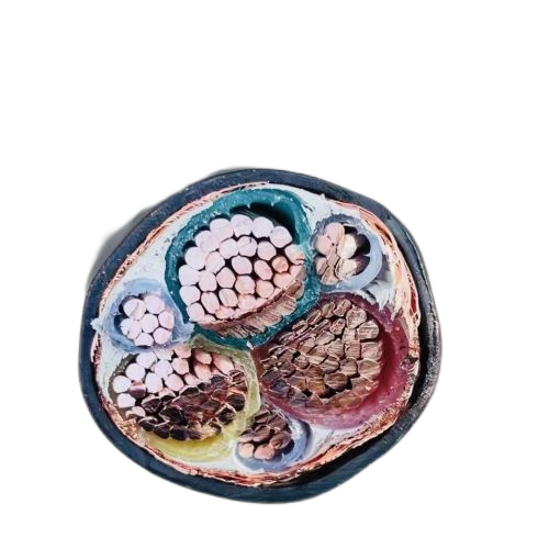 欧亚国际(中国集团)·官方网站