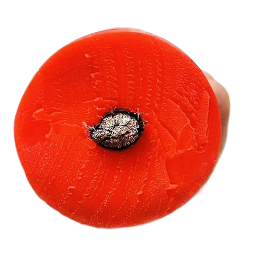 欧亚国际(中国集团)·官方网站