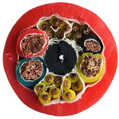 欧亚国际(中国集团)·官方网站