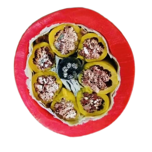 欧亚国际(中国集团)·官方网站