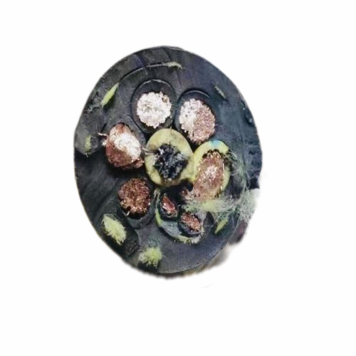 欧亚国际(中国集团)·官方网站