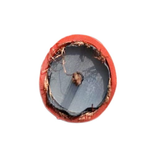 欧亚国际(中国集团)·官方网站