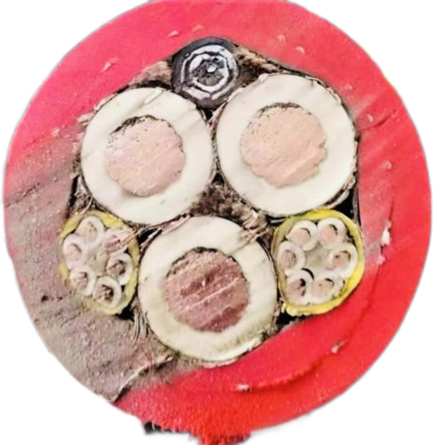 欧亚国际(中国集团)·官方网站