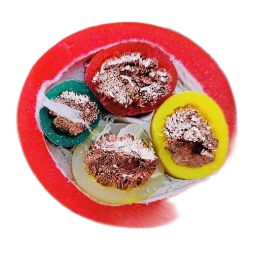 欧亚国际(中国集团)·官方网站