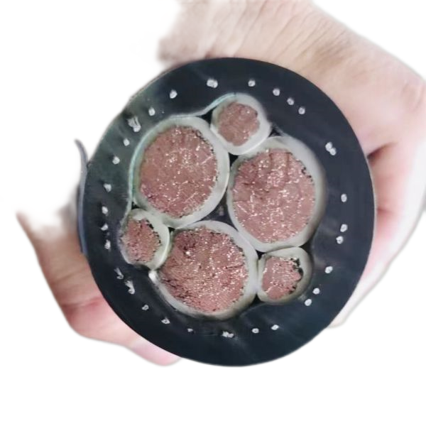 欧亚国际(中国集团)·官方网站