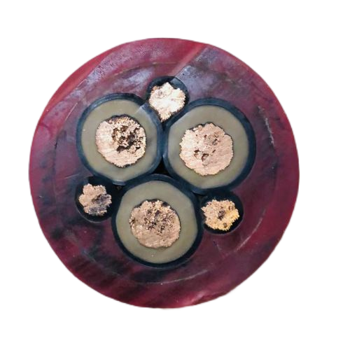 欧亚国际(中国集团)·官方网站