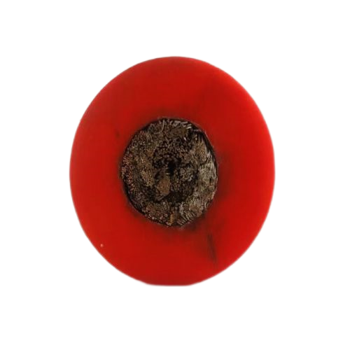 欧亚国际(中国集团)·官方网站